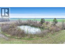119 Victoria, Pelee Island, ON N0R1M0 Photo 13