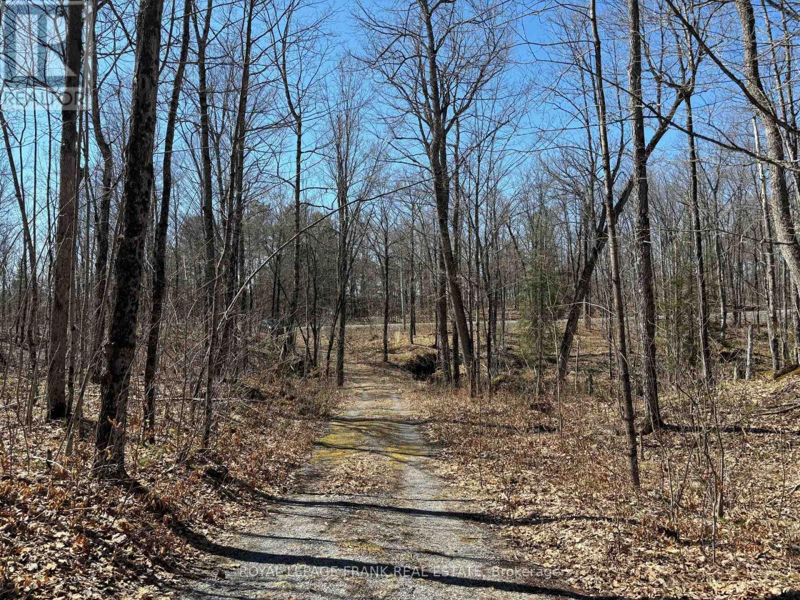 185 JULIAN LAKE ROAD — photo 4