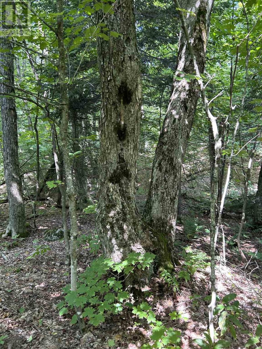 Creek RD — photo 4