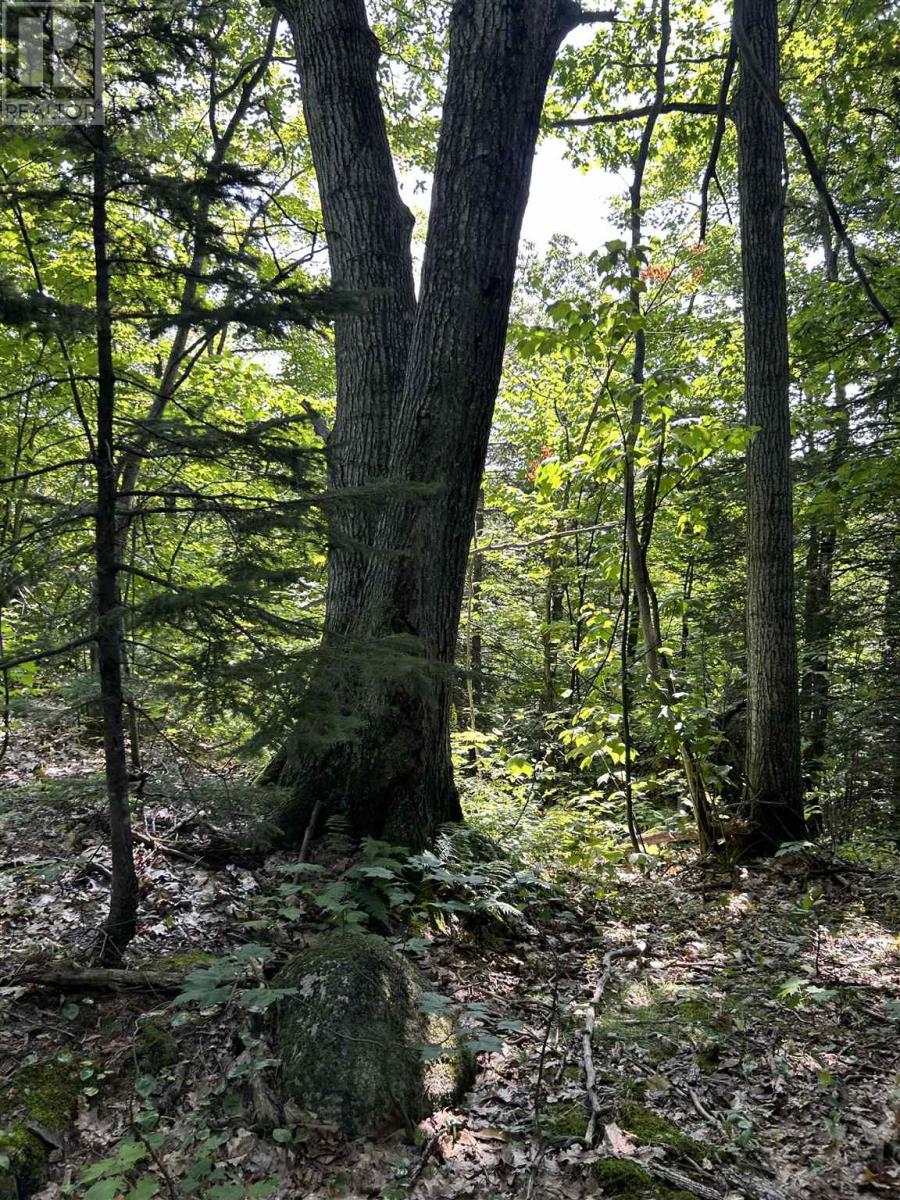 Creek RD — photo 8