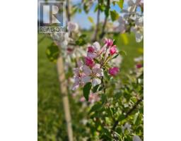Lot 11 Heritage  River Road, Mermaid, PE C1B0Y6 Photo 14