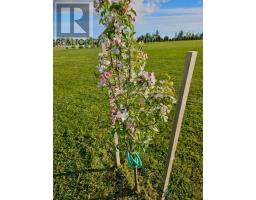 Lot 11 Heritage  River Road, Mermaid, PE C1B0Y6 Photo 15