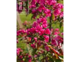 Lot 11 Heritage  River Road, Mermaid, PE C1B0Y6 Photo 16