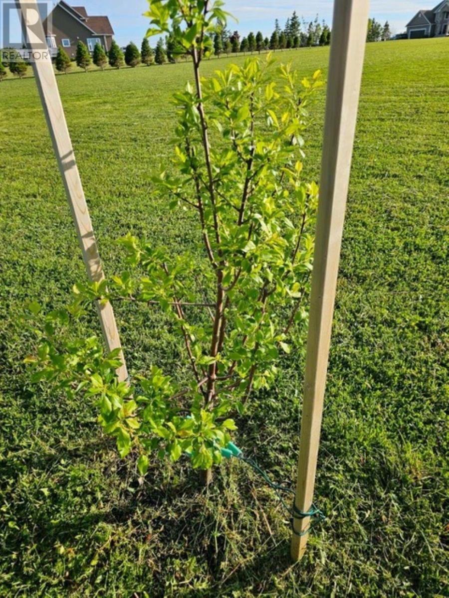 Lot 11 Heritage  River Road — photo 13