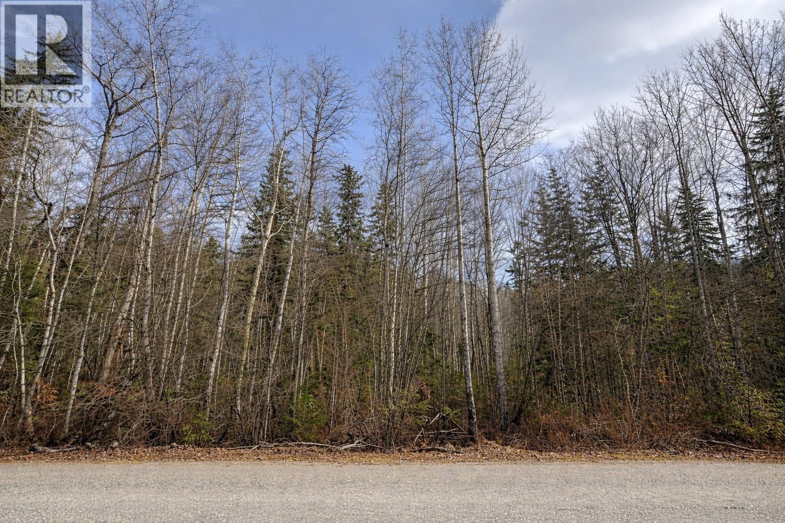 LOT 1 S CANIM LAKE ROAD — photo 5