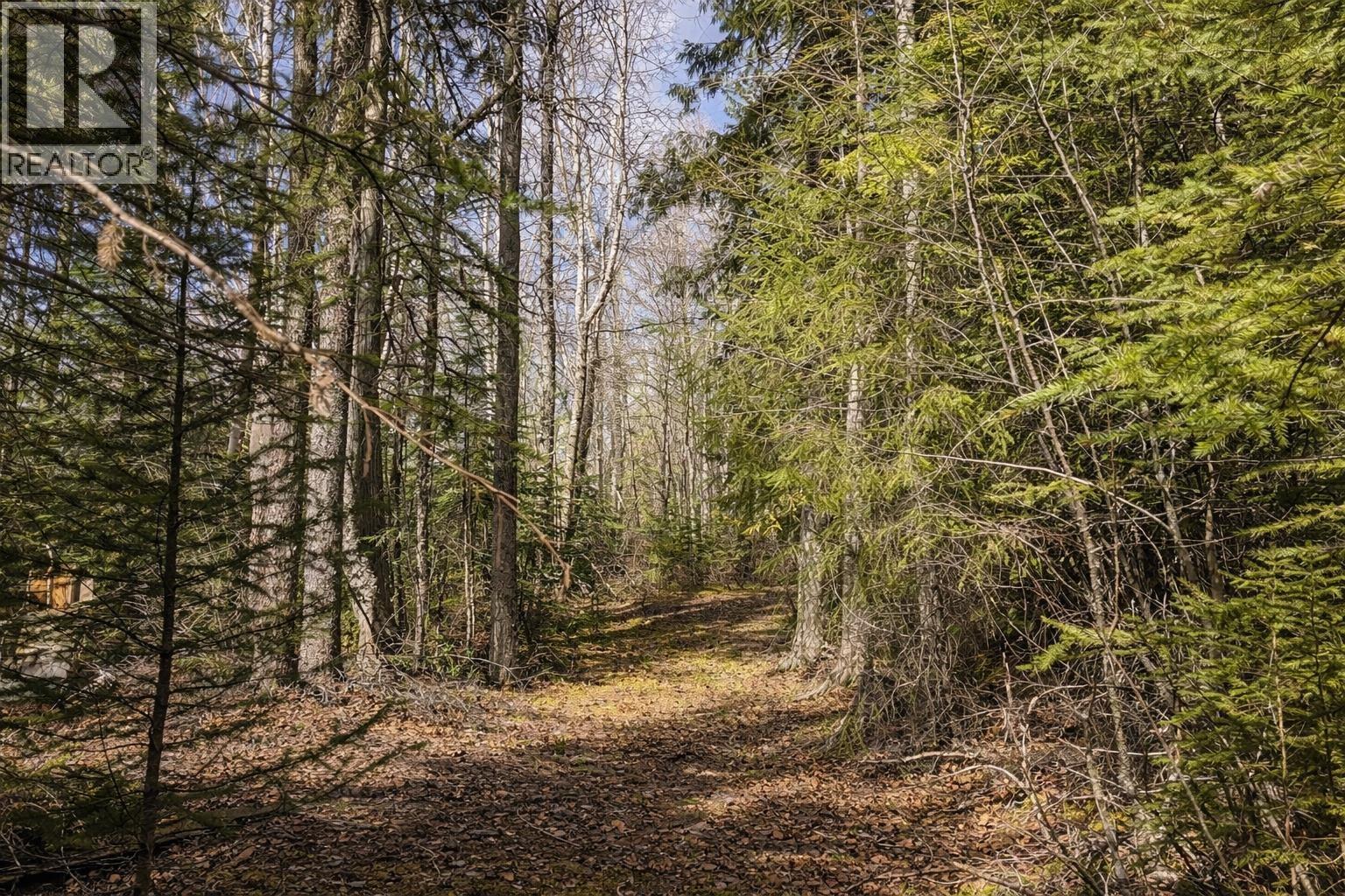 LOT 1 S CANIM LAKE ROAD — photo 9