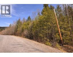 Lot 1 S Canim Lake Road, Canim Lake, BC V0K1J0 Photo 8