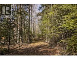 Lot 1 S Canim Lake Road, Canim Lake, BC V0K1J0 Photo 9