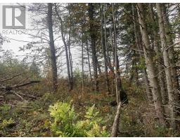 Lot 18 Torbrook Road, Torbrook, NS B0P1R0 Photo 6