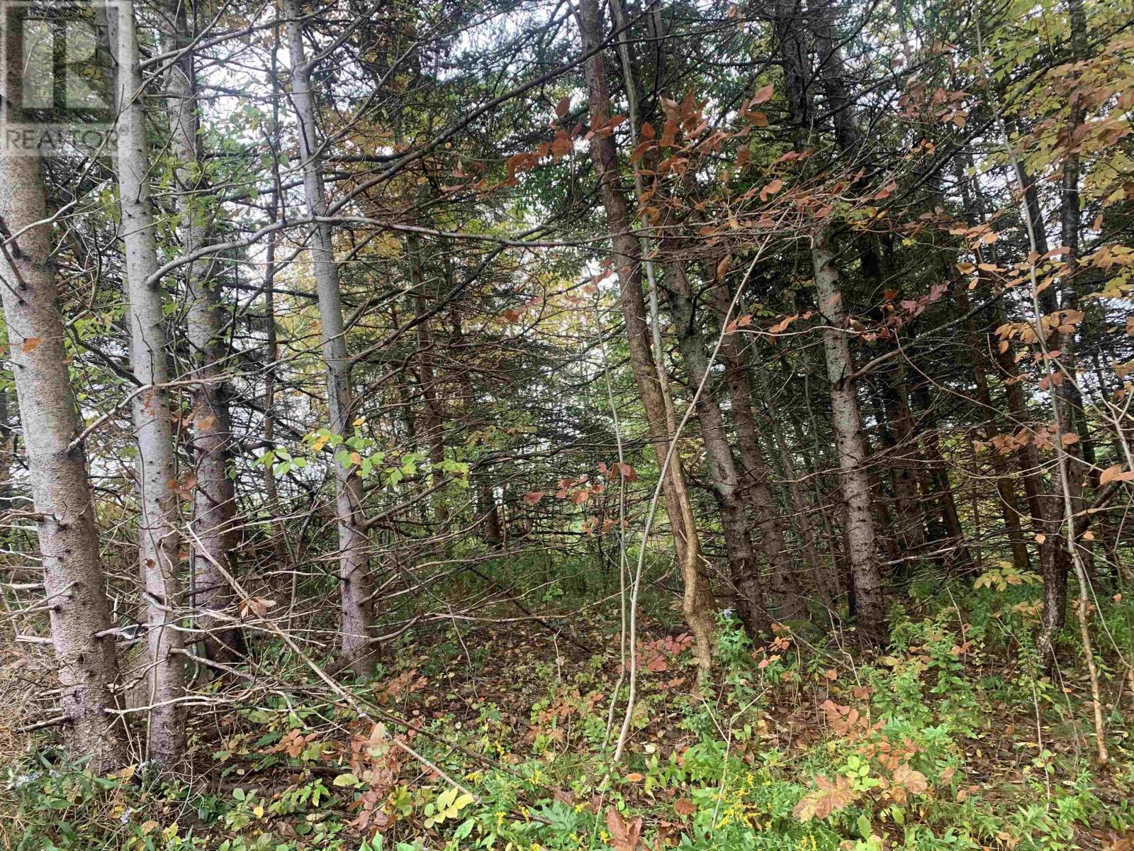 Property 6 of 12 of Lot 18 Torbrook Road