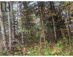 Lot 18 Torbrook Road, Torbrook, NS B0P1R0 Photo 7