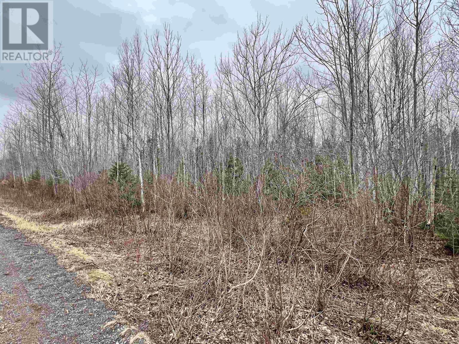 Property photo of Dufferin Road