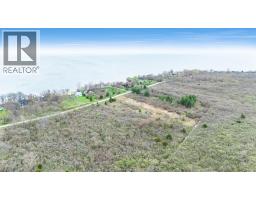 V/l Coopers Road, Pelee Island, ON N0R1M0 Photo 8