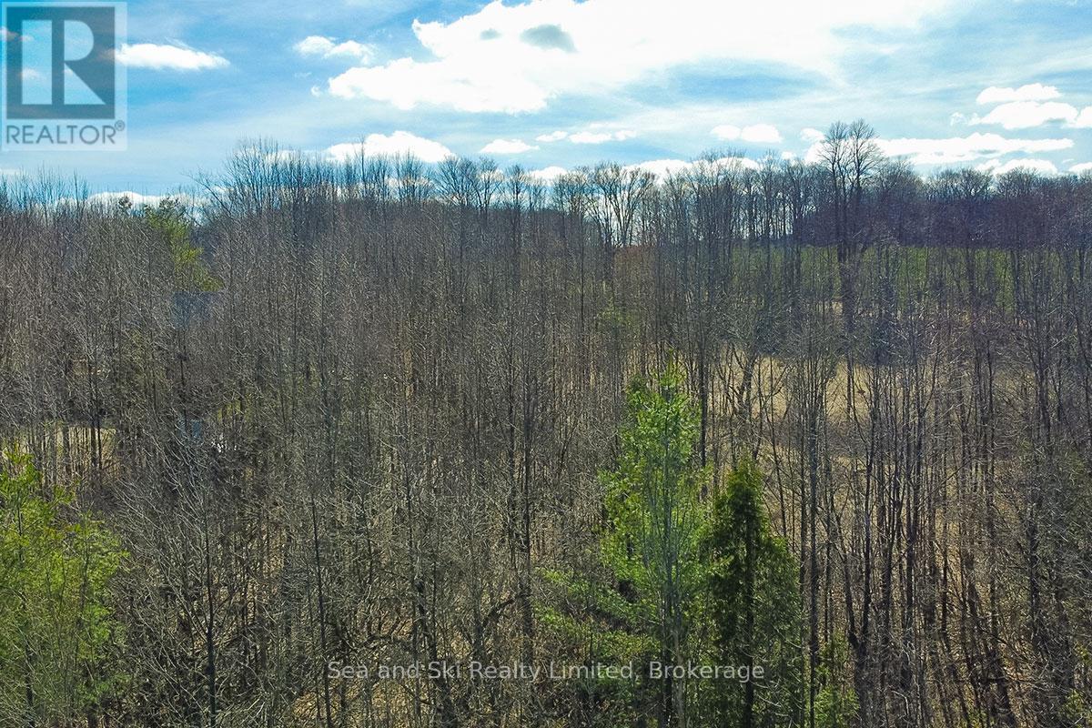 180 BOWLES BLUFF ROAD - photo 4