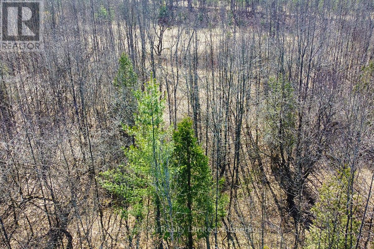 180 BOWLES BLUFF ROAD — photo 7