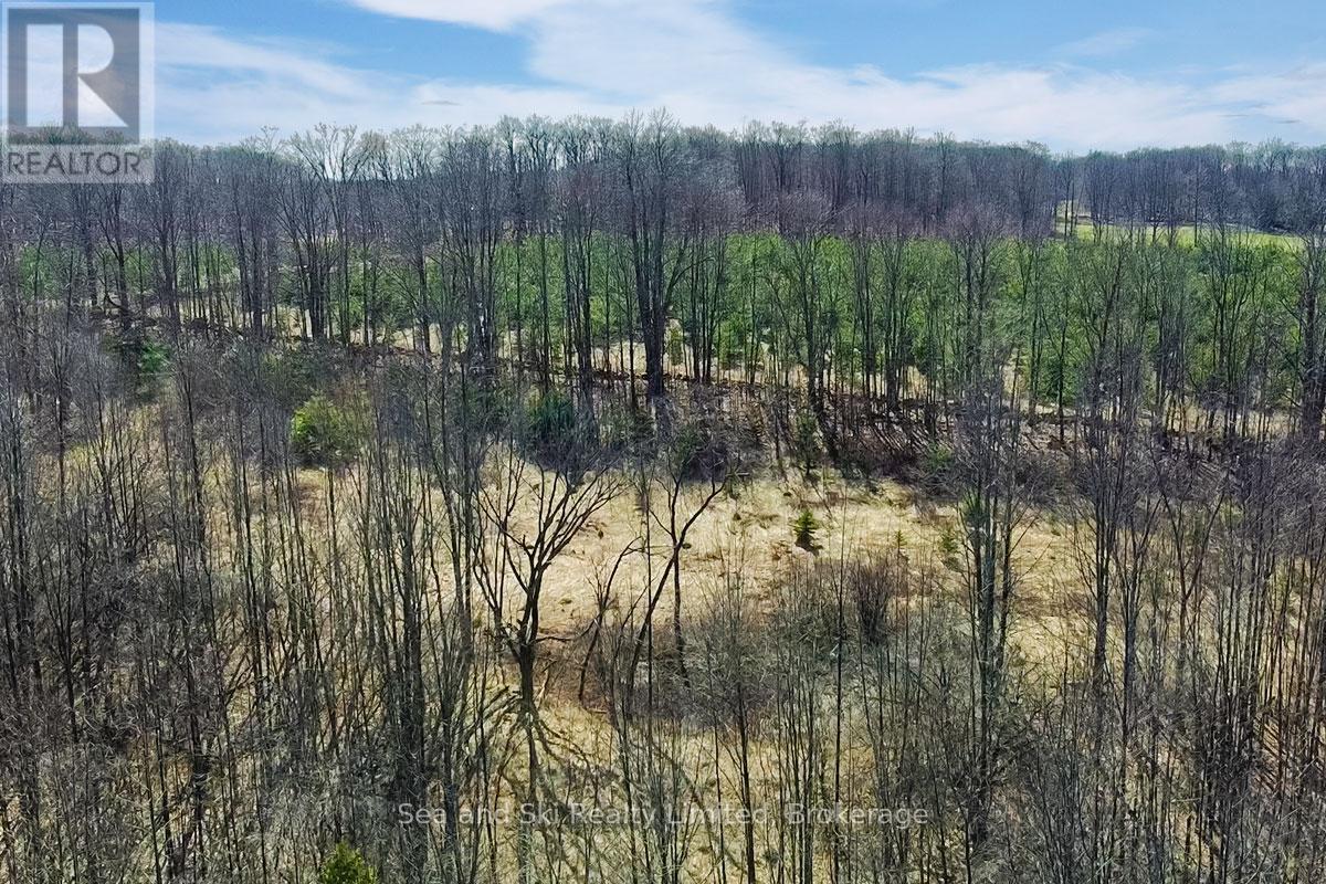 180 BOWLES BLUFF ROAD - photo 5