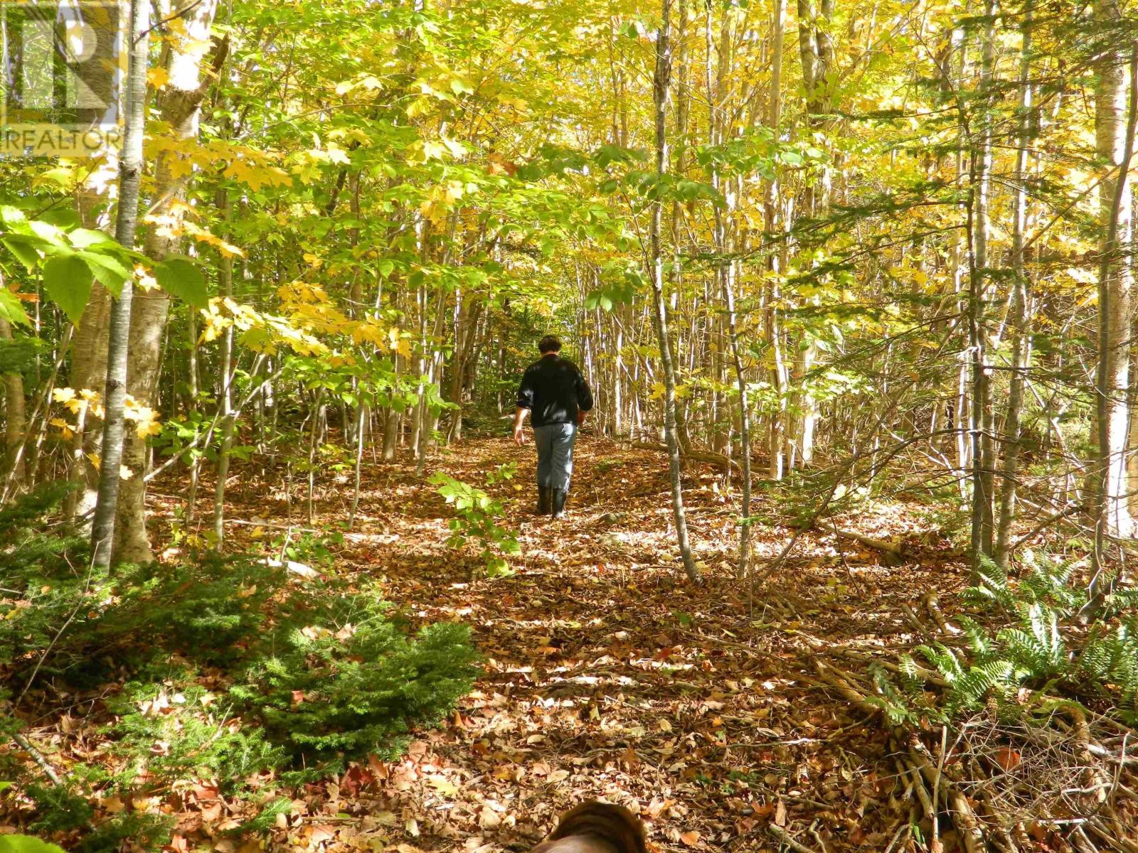 Property 32 of 32 of 1665 Highway 362