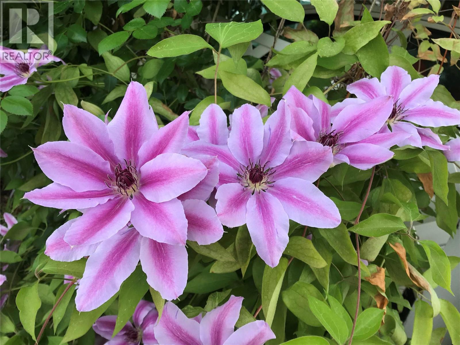 1472 Green Avenue Lane - 4