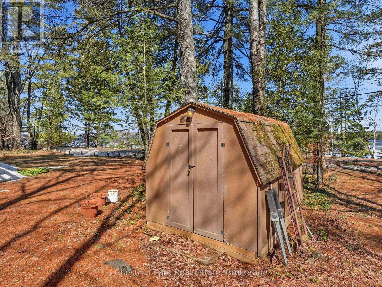 Shed
