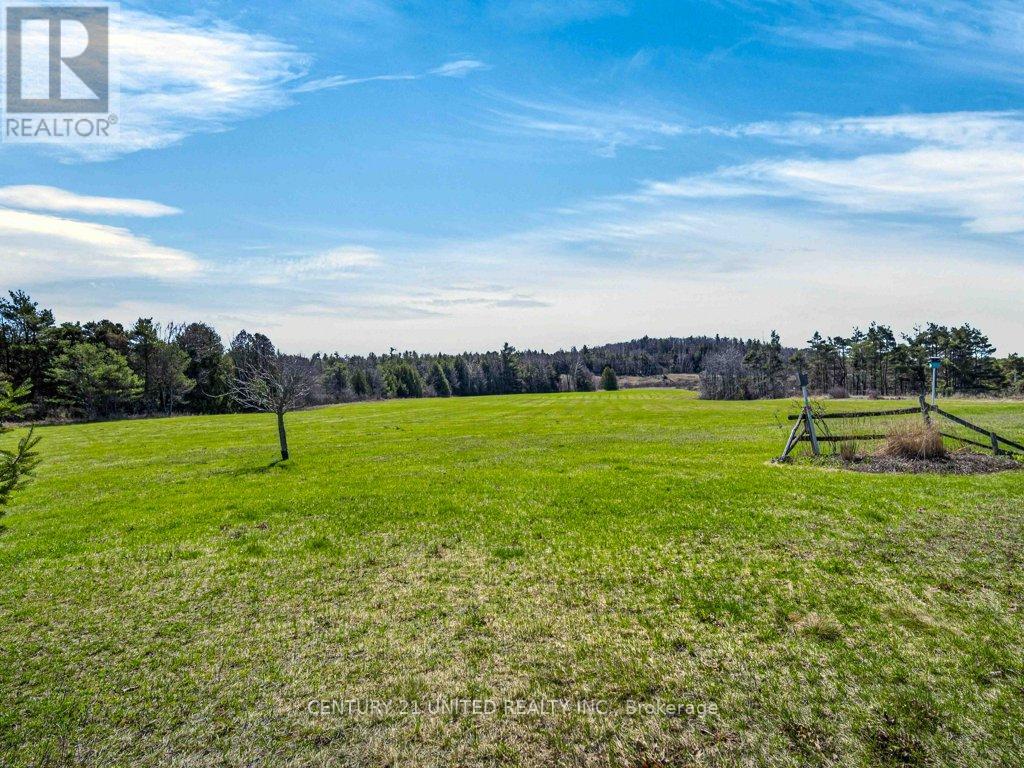 3435 DUMMER ASPHODEL ROAD — photo 47