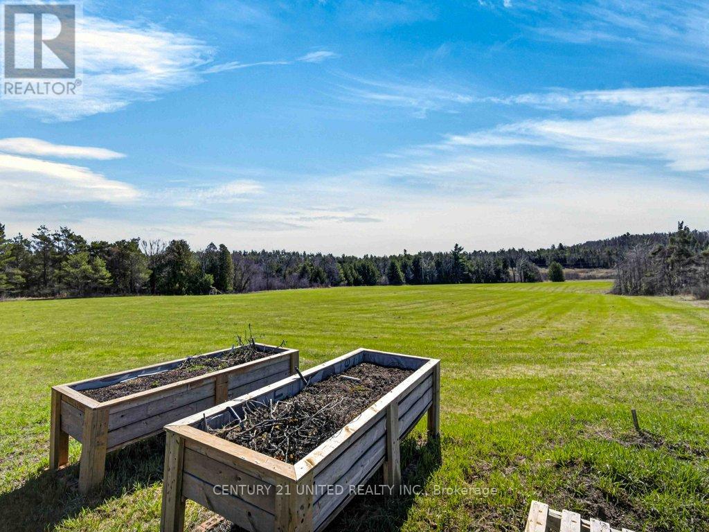 3435 DUMMER ASPHODEL ROAD — photo 48