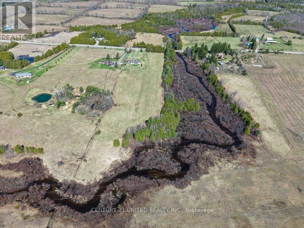 3435 DUMMER ASPHODEL ROAD — photo 49