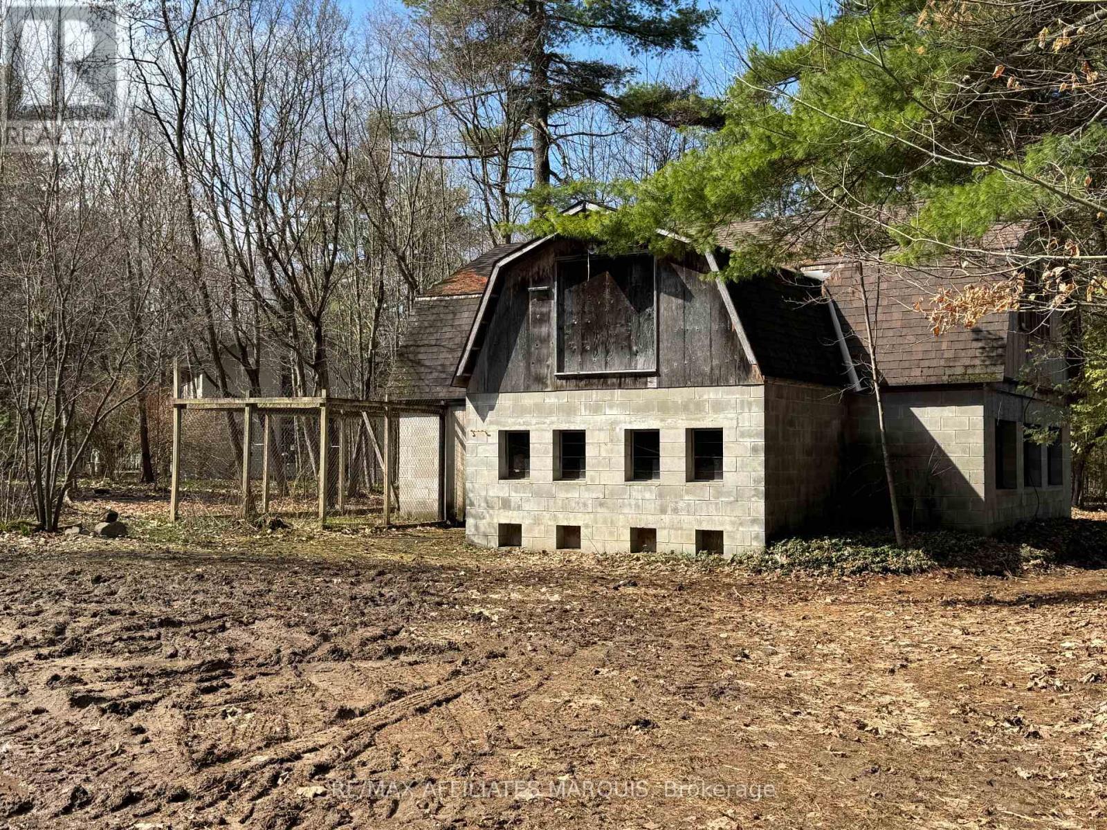 239 BAY ROAD — photo 45