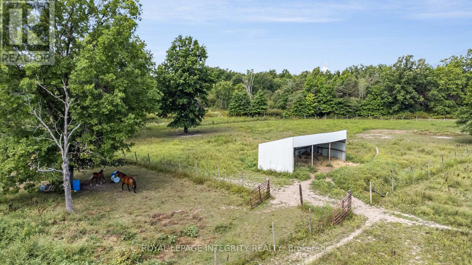 5801 BOSSERT ROAD — photo 30