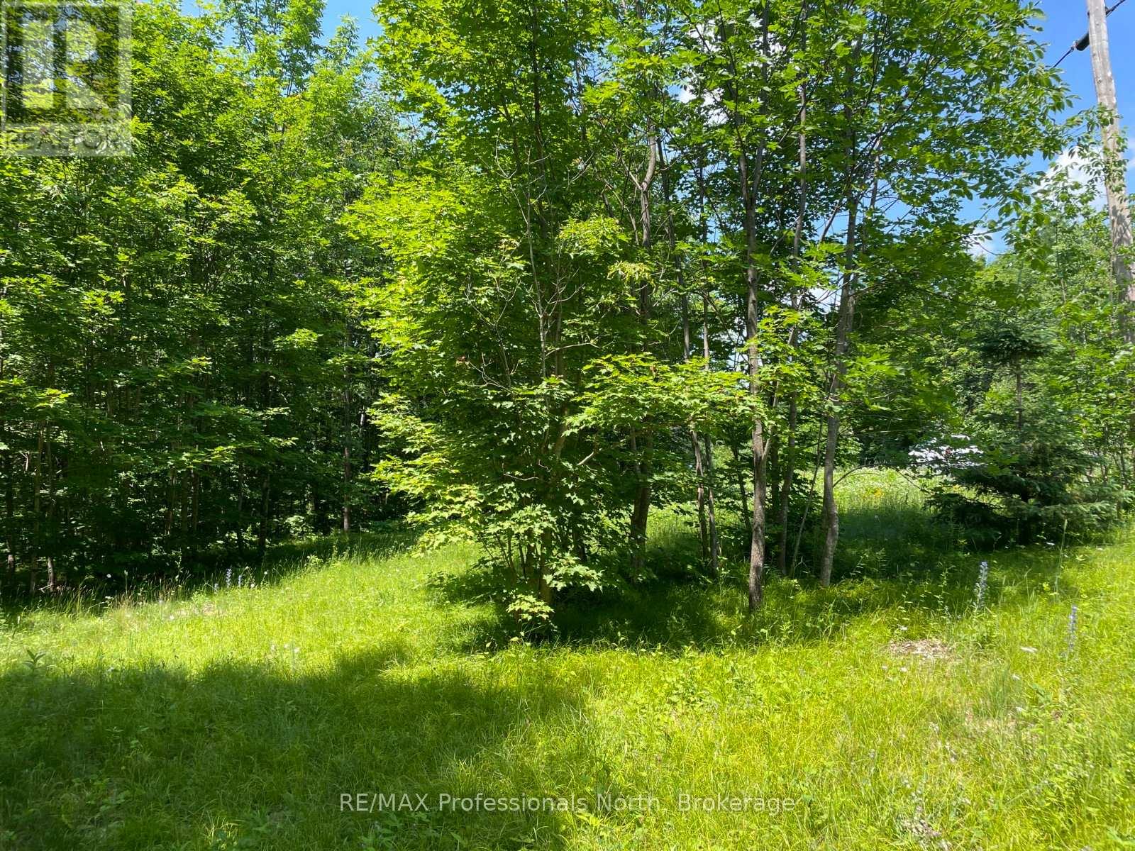 0 GLAMOR LAKE ROAD — photo 2