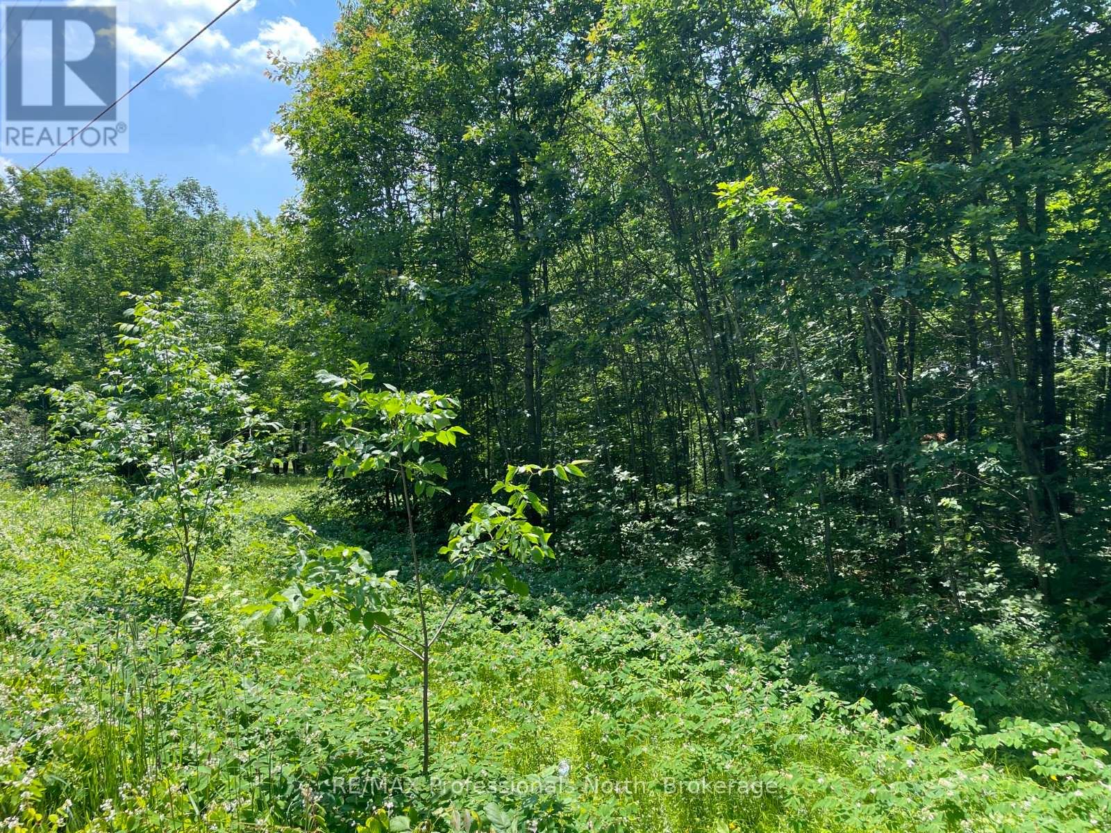 0 GLAMOR LAKE ROAD — photo 4