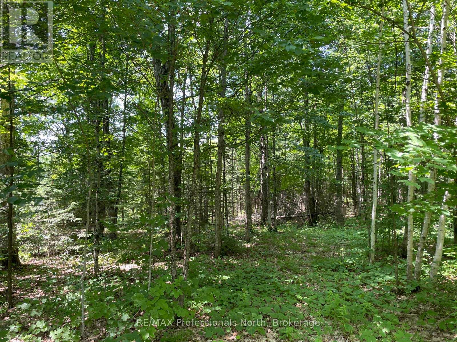 0 GLAMOR LAKE ROAD — photo 6