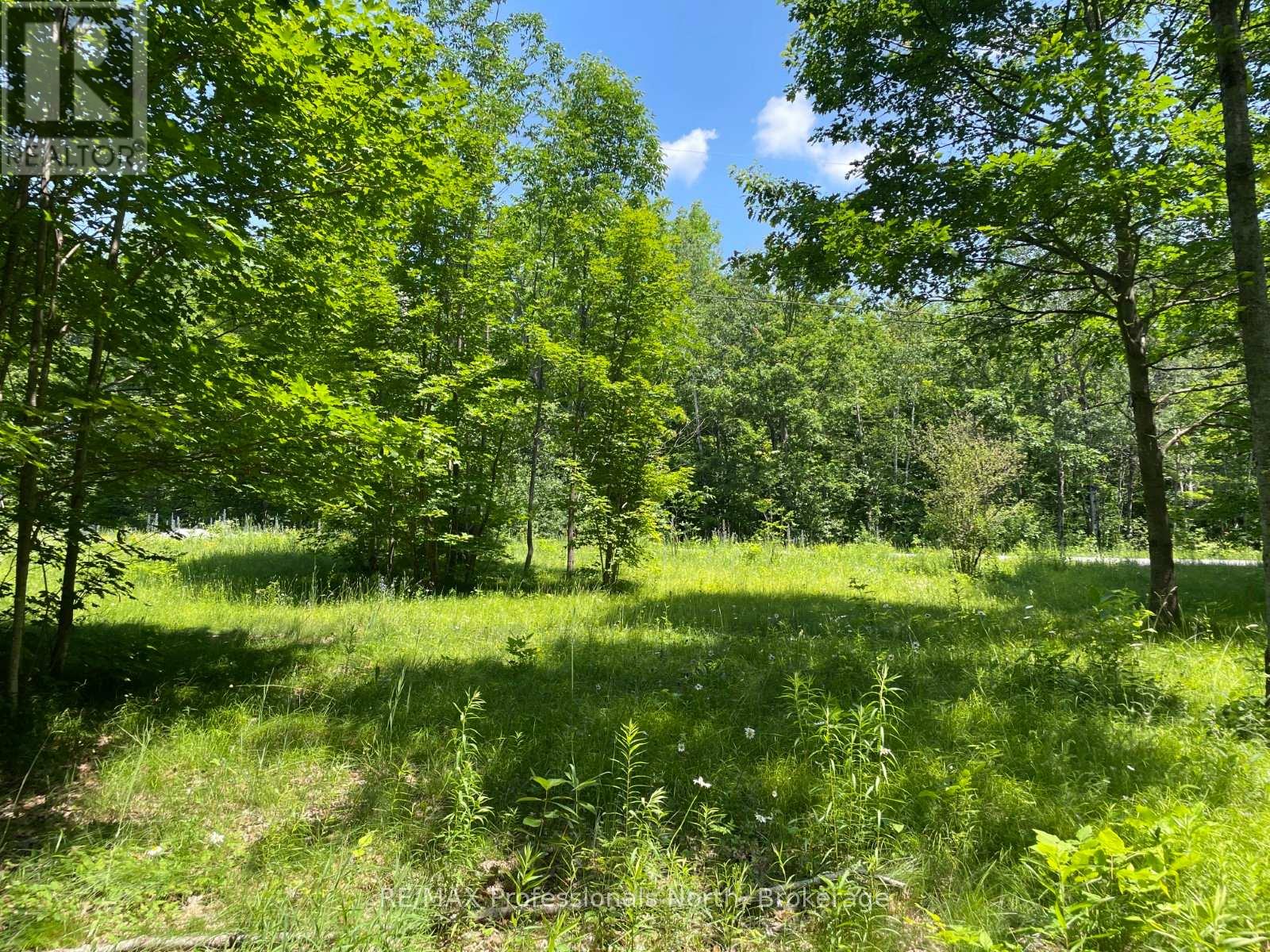 0 GLAMOR LAKE ROAD — photo 7
