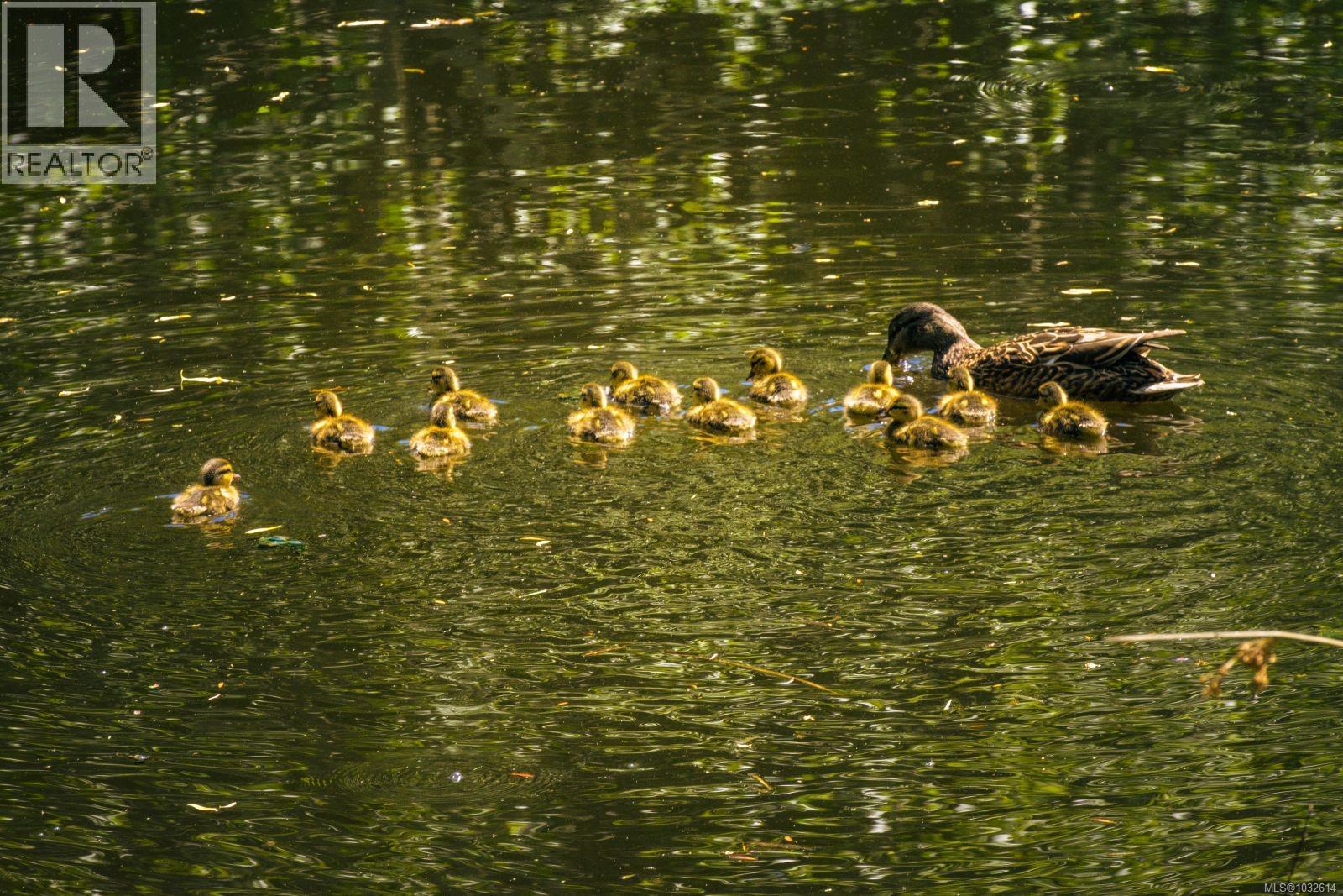 #34 1255 WAIN RD - 33