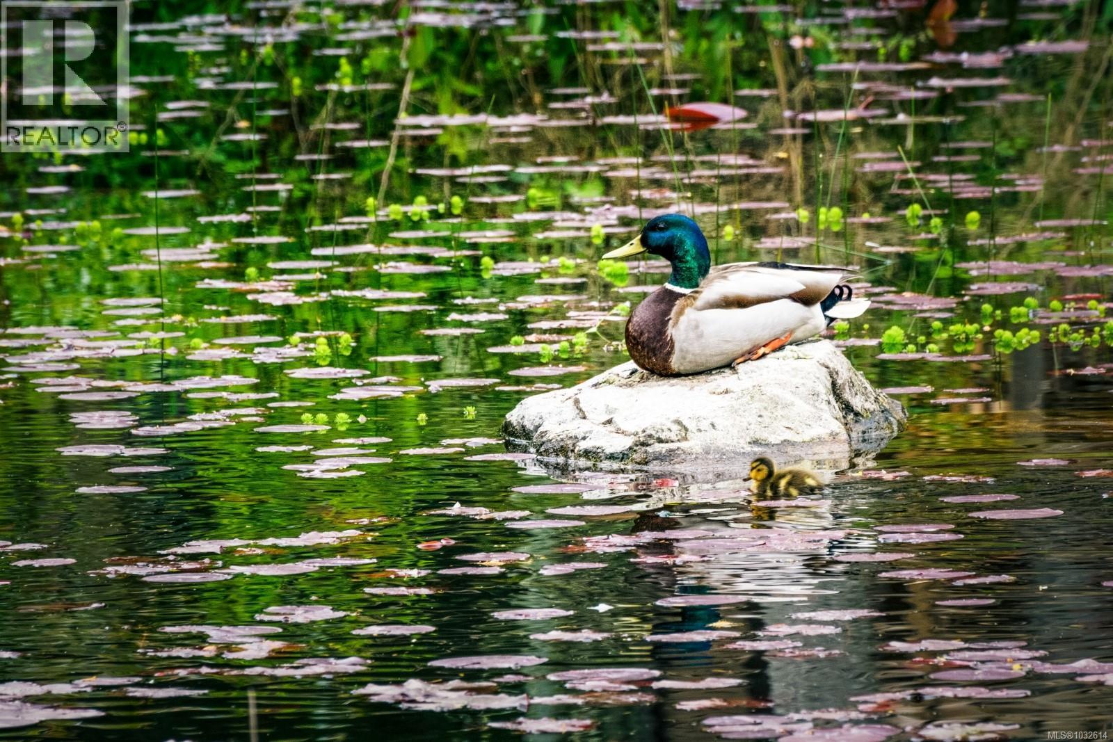 #34 1255 WAIN RD - 34