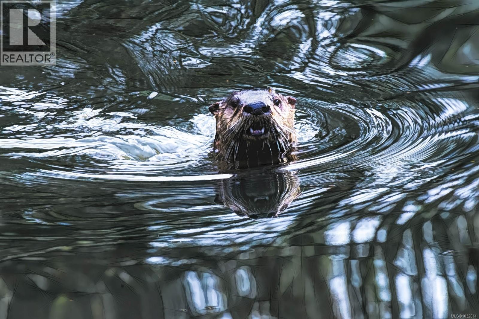 #34 1255 WAIN RD - 35