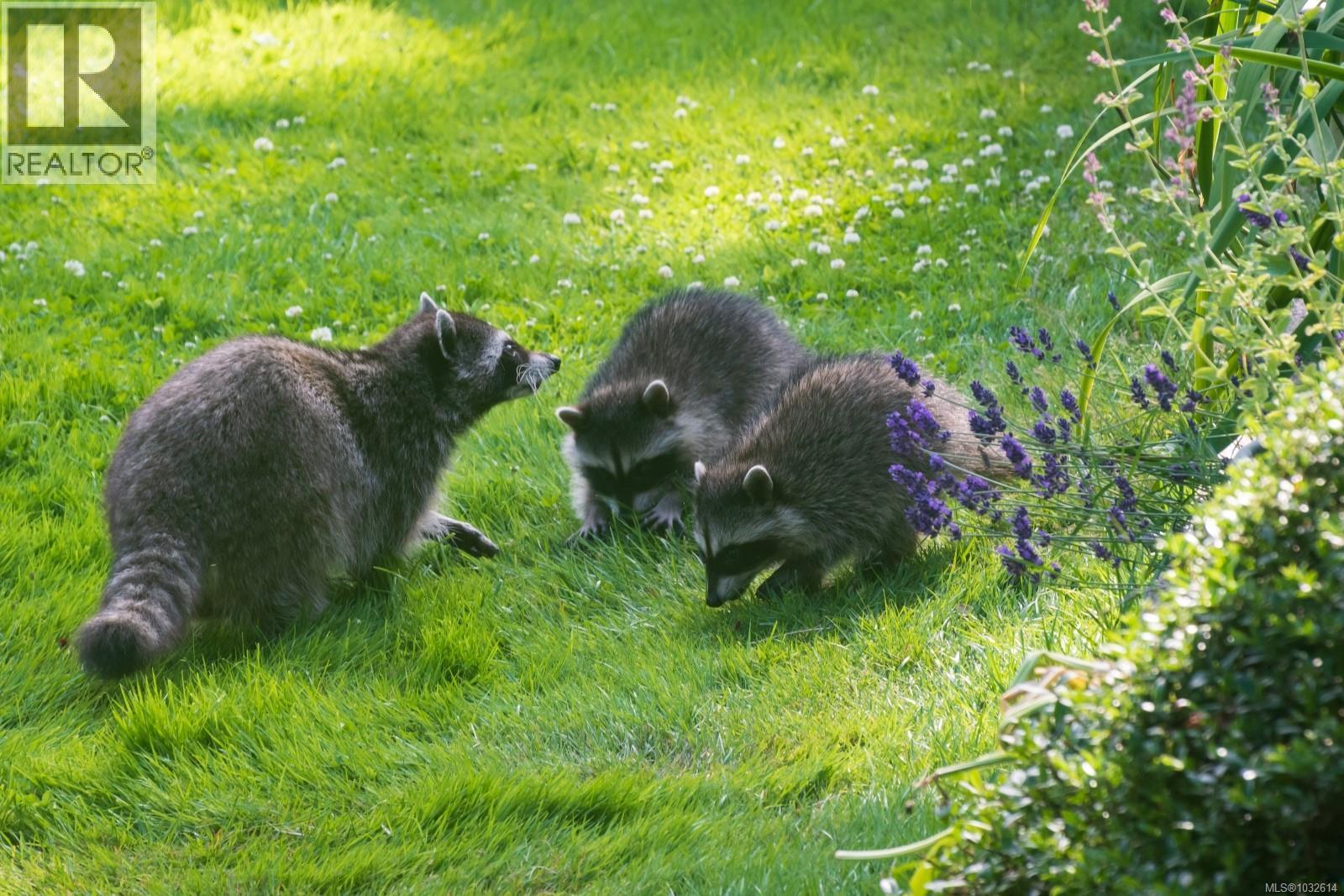 #34 1255 WAIN RD - 36