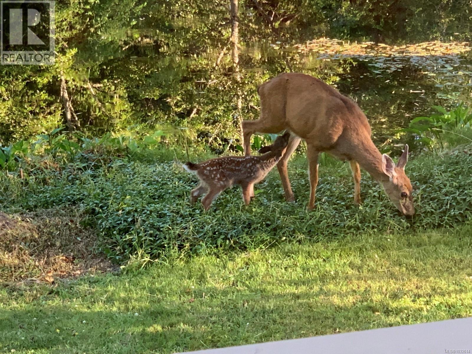 #34 1255 WAIN RD - 37