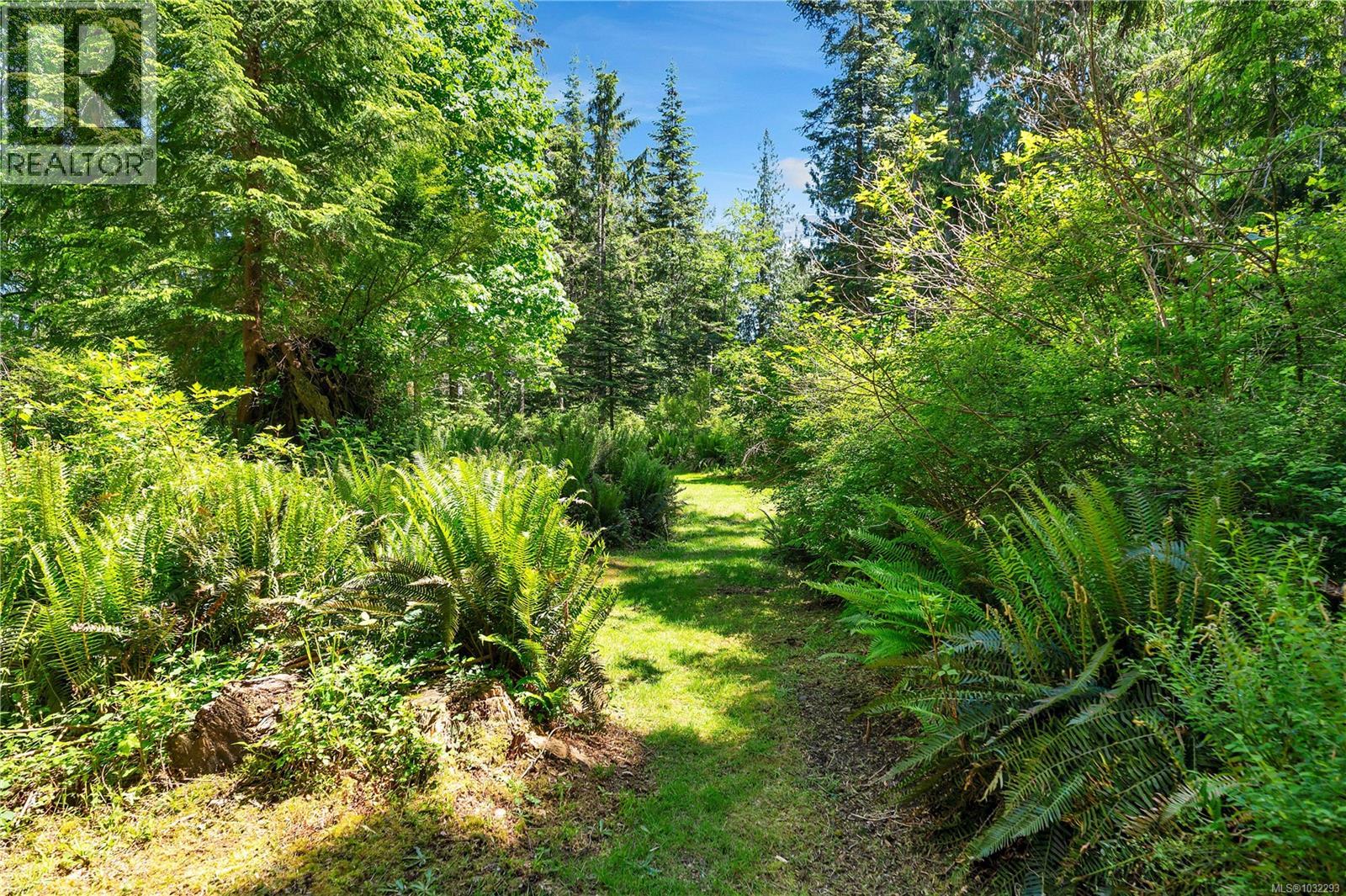 view of trails that wind through mature forest on the property