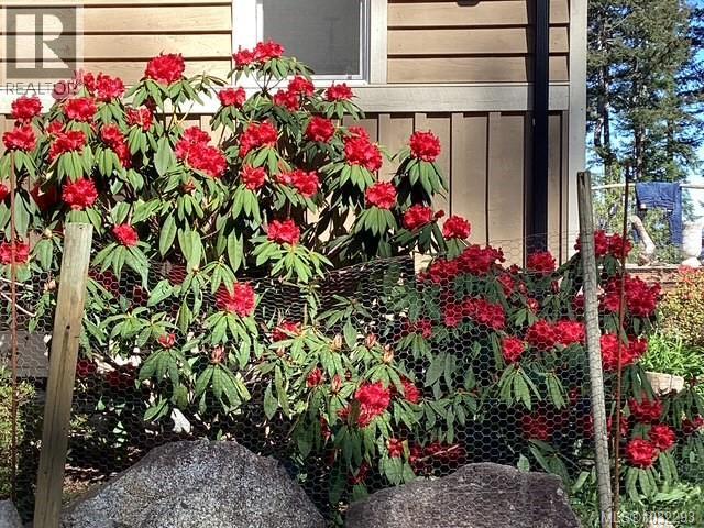 Spring views of the garden