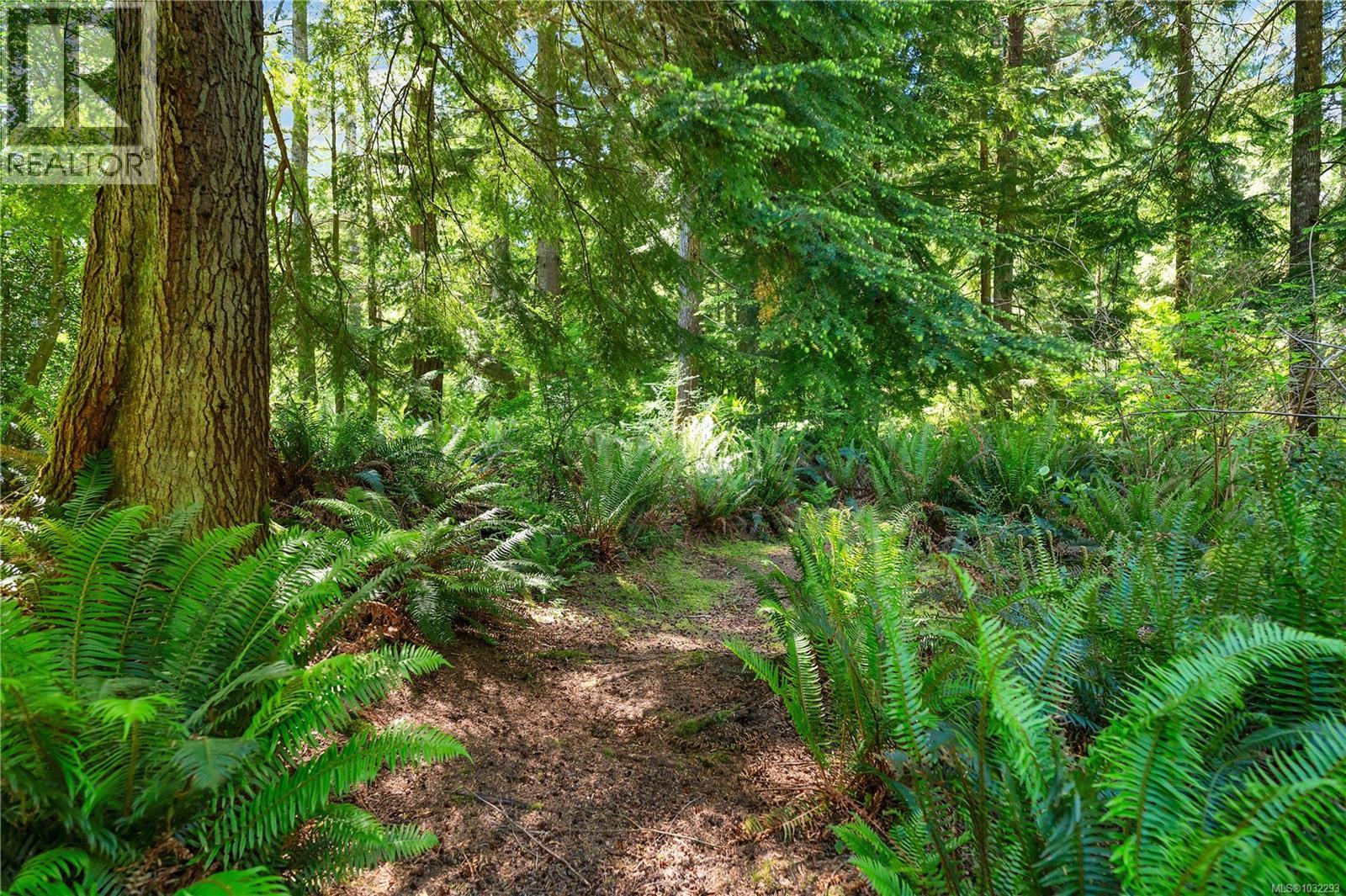view of trails that wind through mature forest on the property