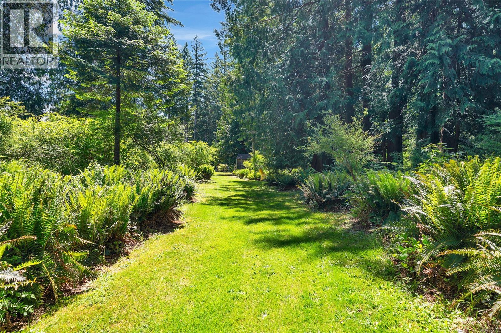 view of trails that wind through mature forest on the property