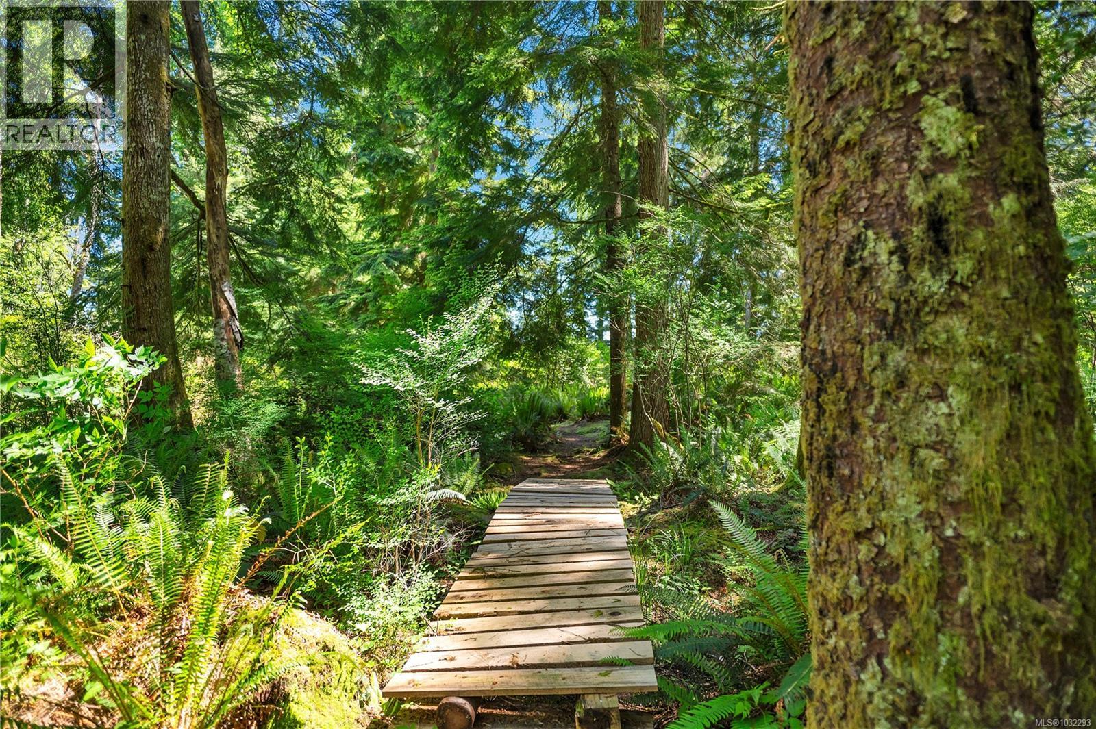 view of trails that wind through mature forest on the property