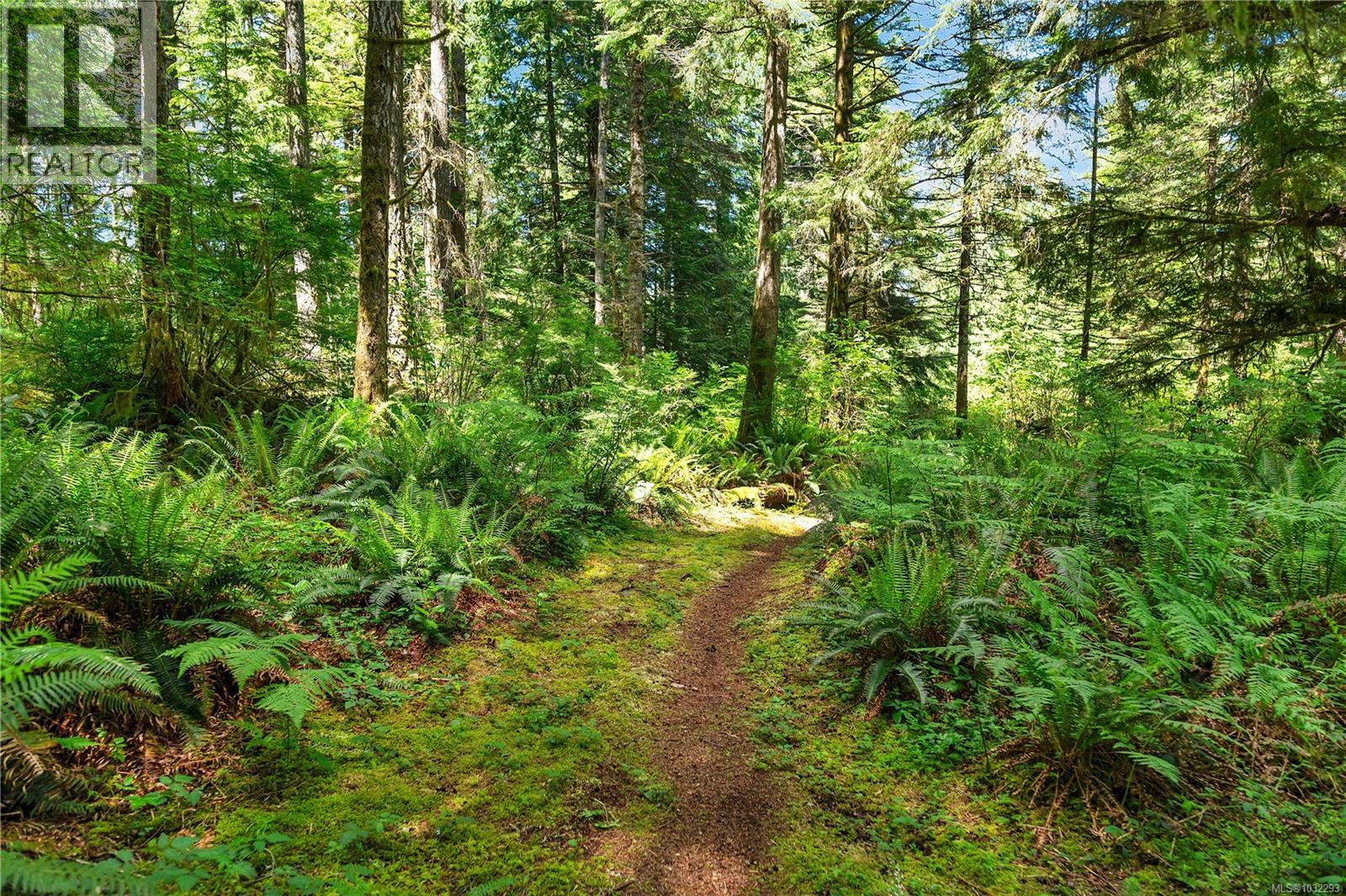 5 acres of this oceanview property is untouched with paths that wind through the mature forest.