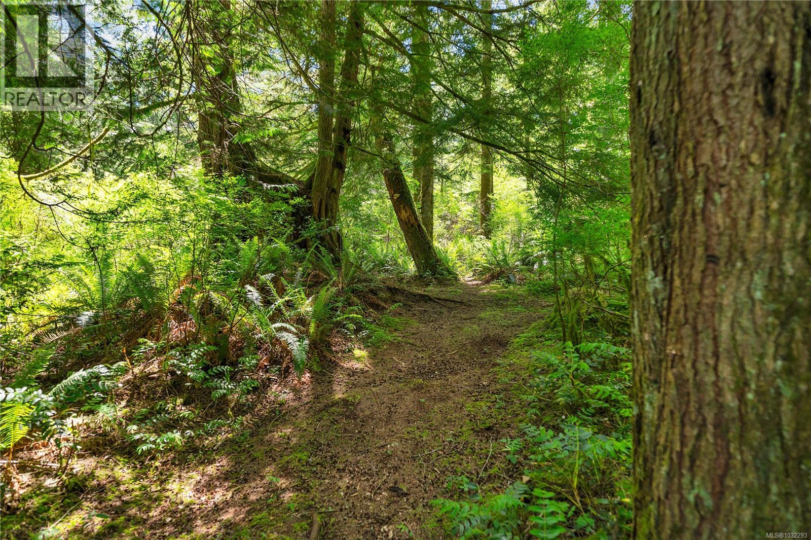 view of trails that wind through mature forest on the property
