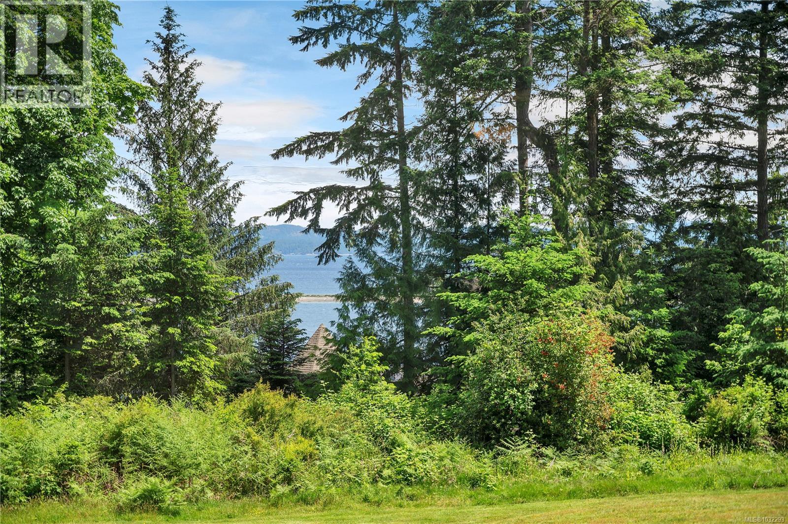 ocean views from lower yard