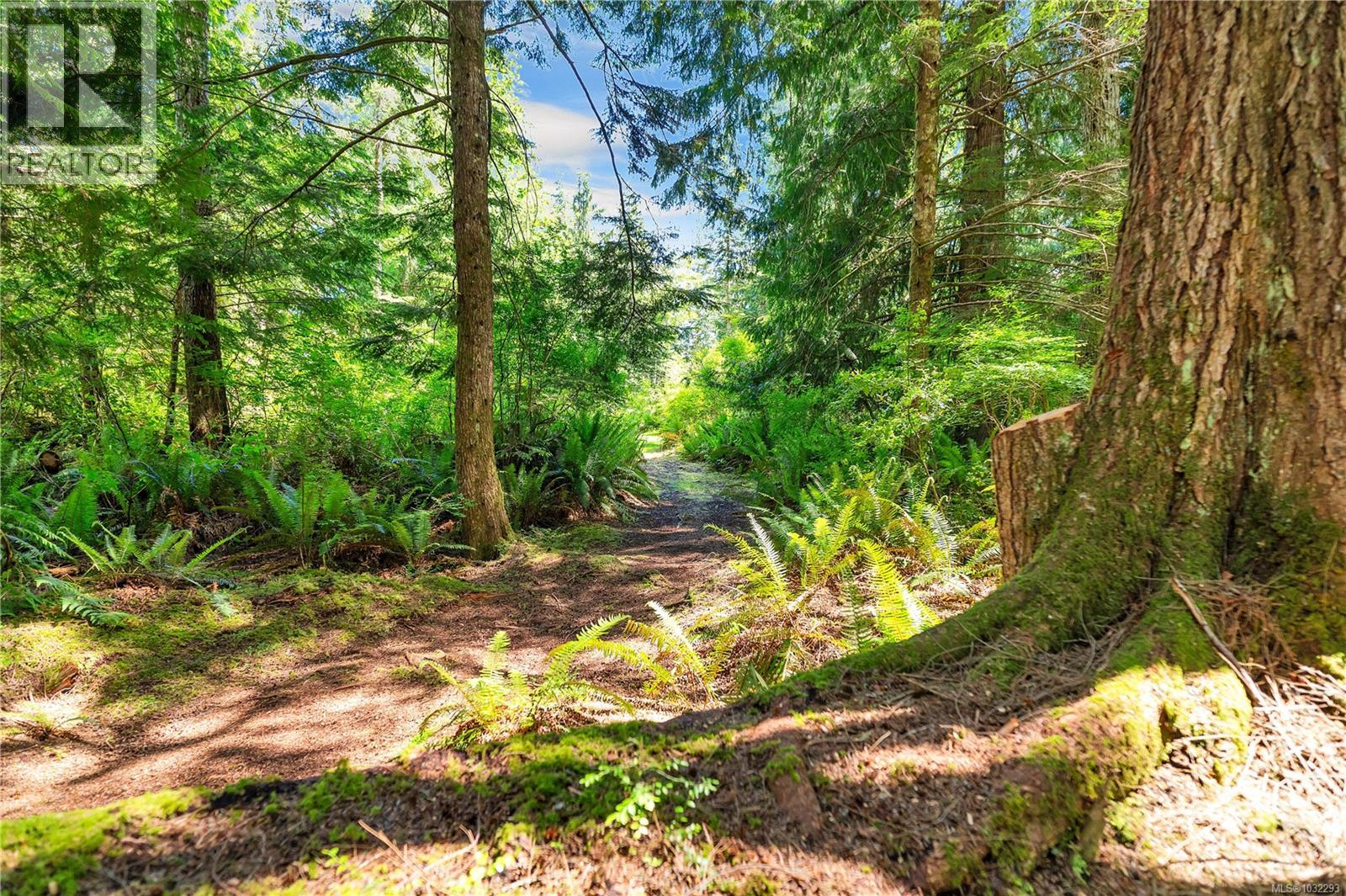 view of trails that wind through mature forest on the property