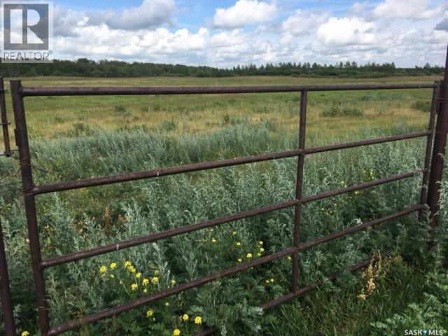 Balgonie Commuter Acreage (McMain) — photo 44