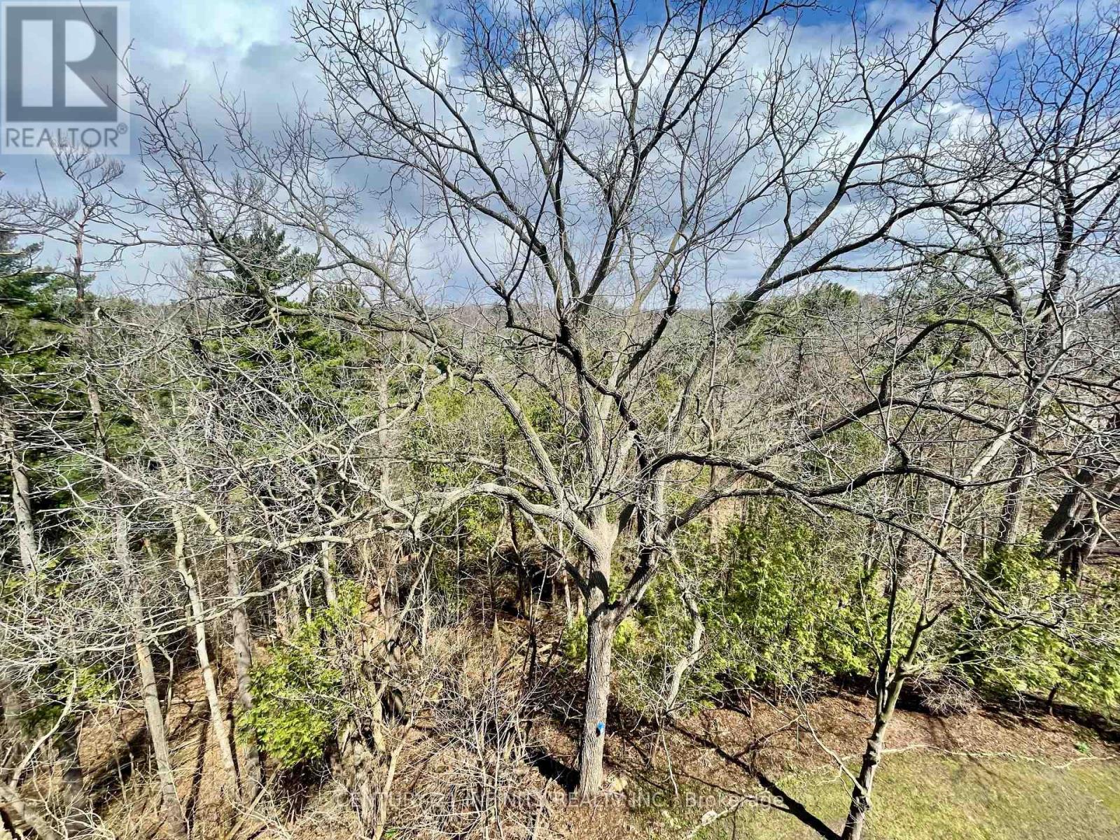 5-606 - 50 OLD KINGSTON ROAD — photo 12