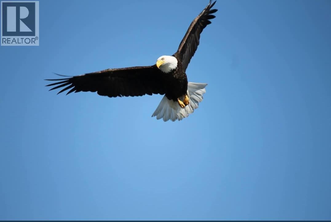 3267 Powell Road - 88