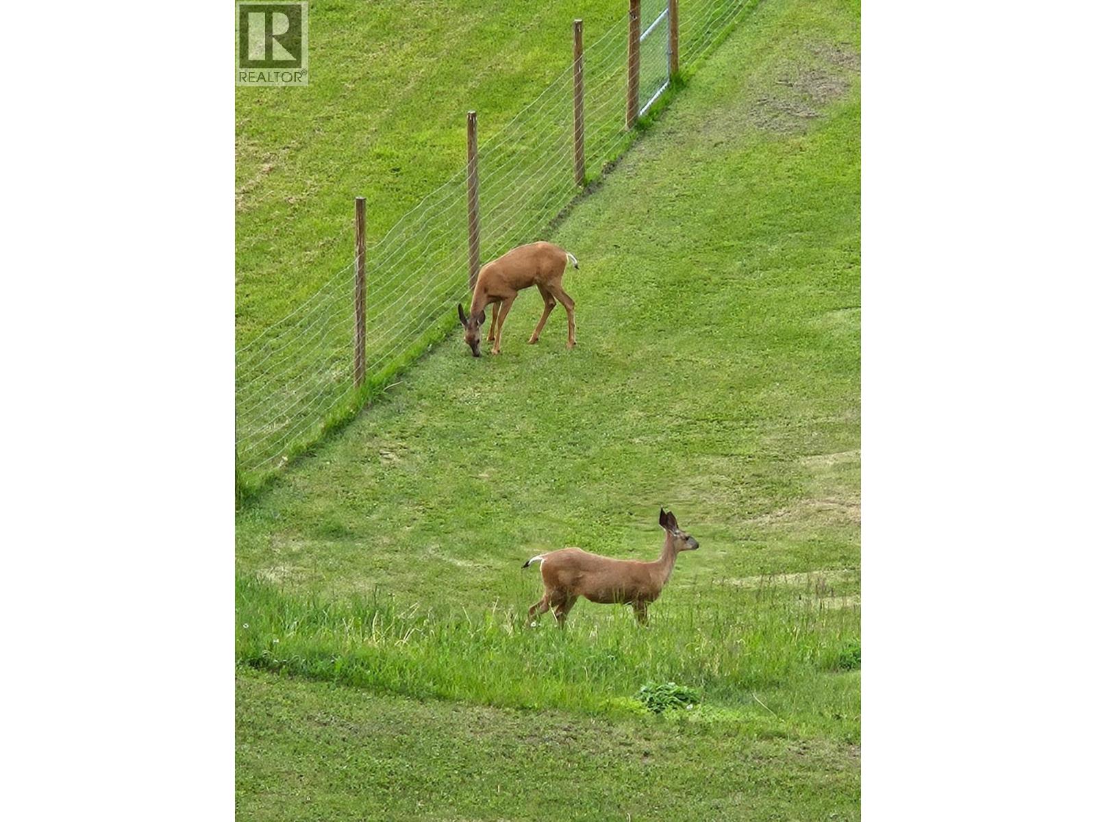 3267 Powell Road - 89